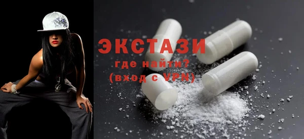 мдпв Ельня