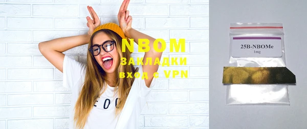 мдпв Ельня