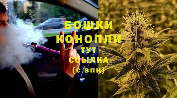 кокс Елизово
