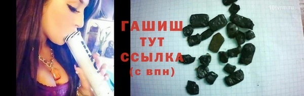 мдпв Ельня