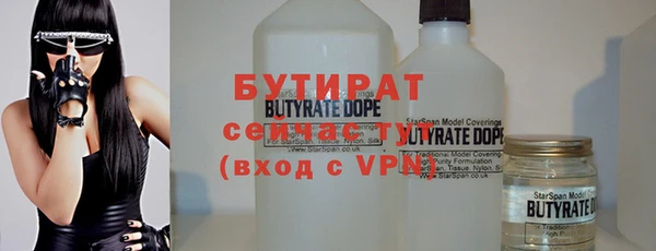 мдпв Ельня