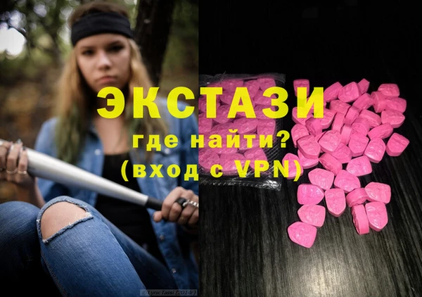 мдпв Ельня