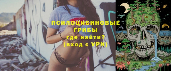 эйфоретик Дмитров