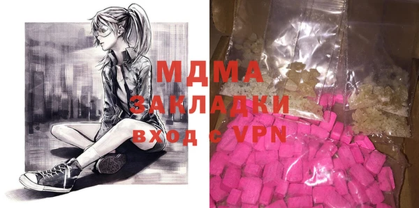 мдпв Ельня