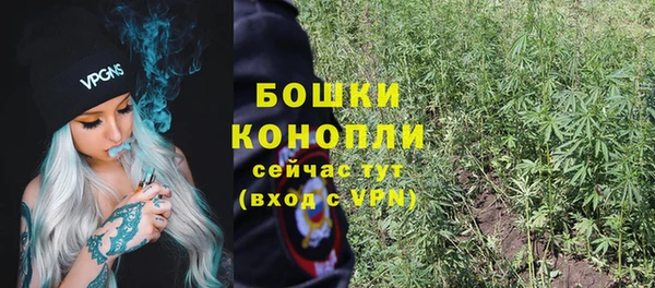 спиды Дмитриев