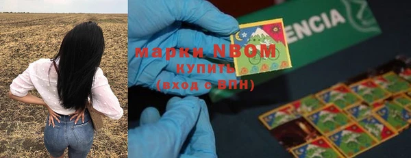 кокс Елизово